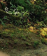 116.jpg