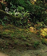 117.jpg