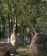 528.jpg