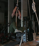 3637.jpg