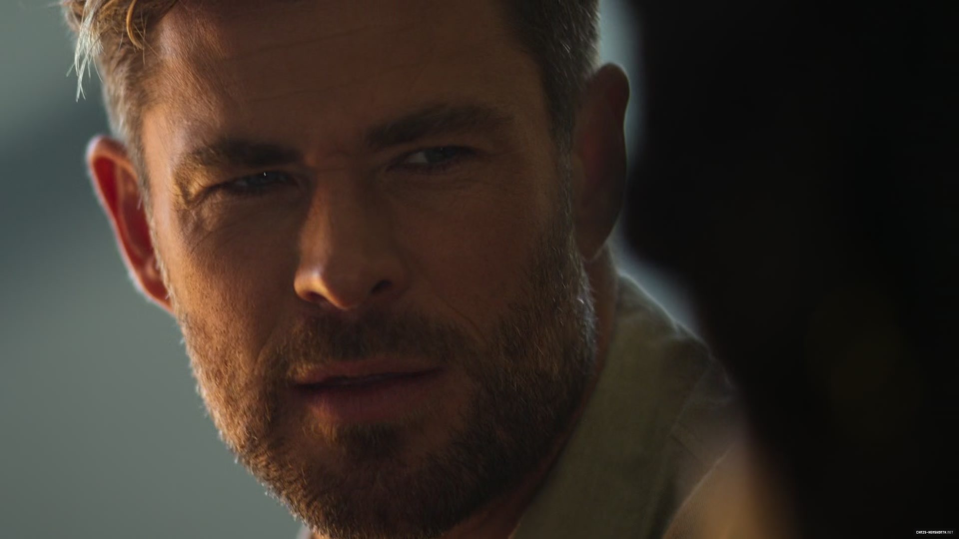 6231.jpg